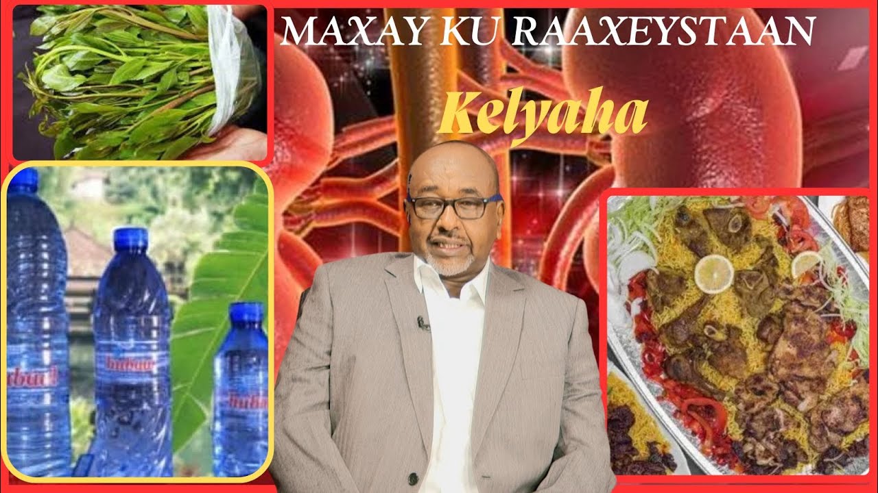 Biyaha Warshedaha ee sifeysan miyay fadhiisiyaan Kelyaha ? (Dr Daahir Xasan Daahir)