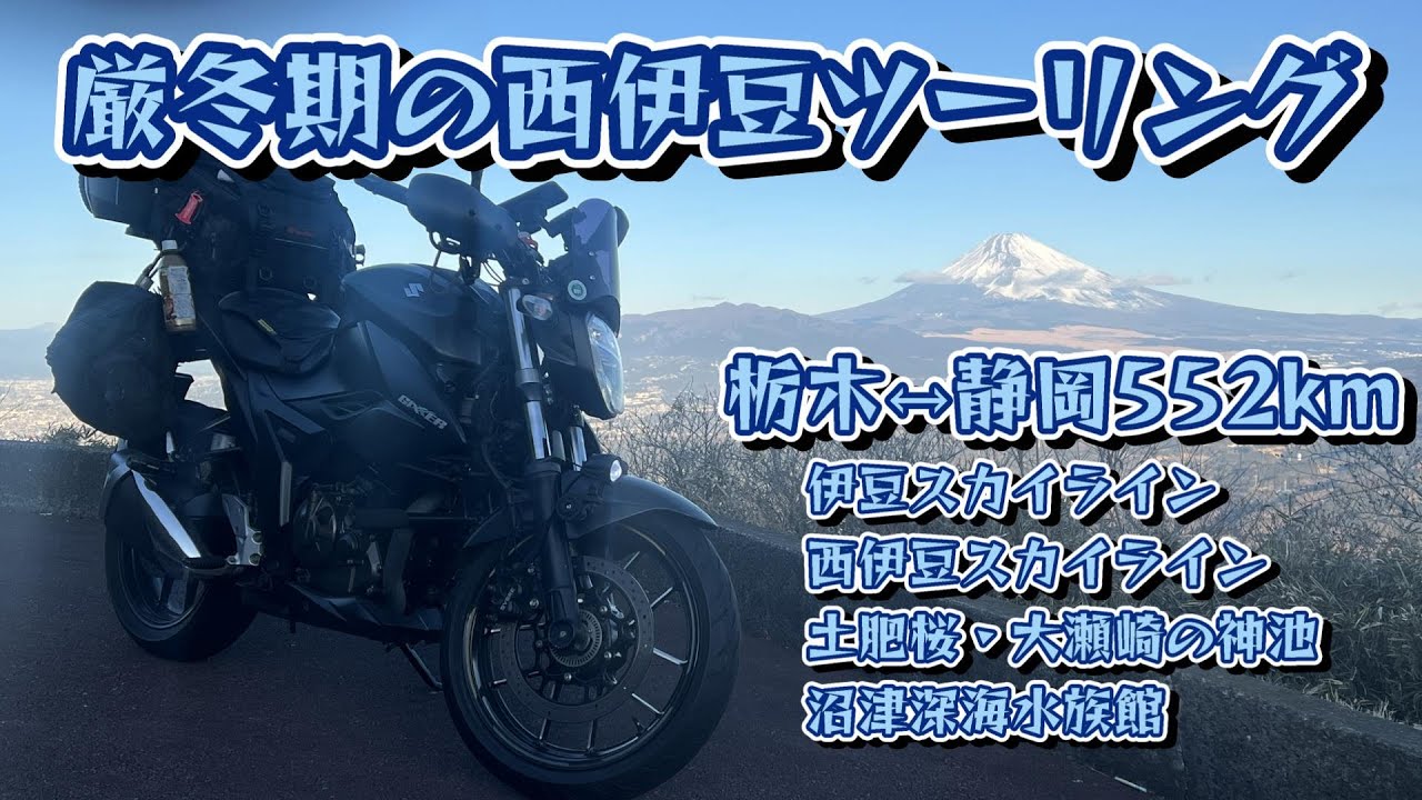 【ジクサー250】今年も日本一早咲きの土肥桜を見てきたよ！