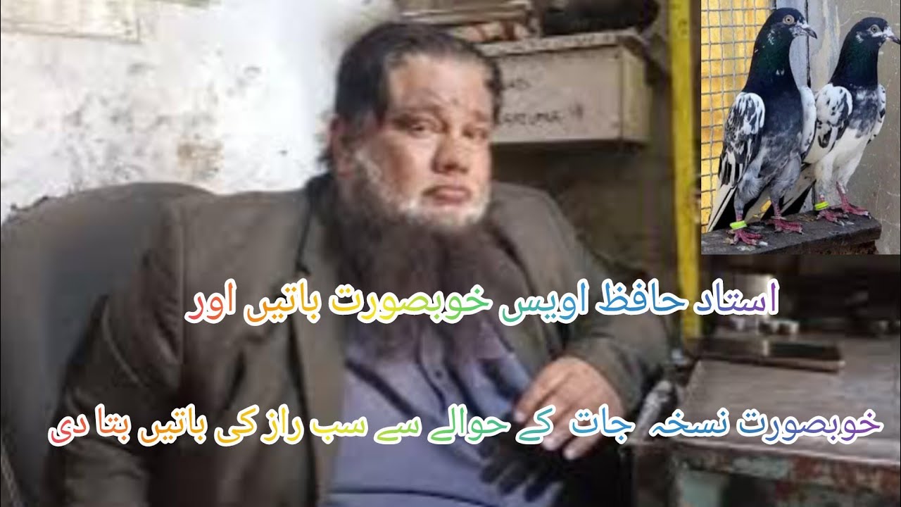 Ustad Hafiz AWais best Interview//junoon hai parwaz#pigeon #kabootar 