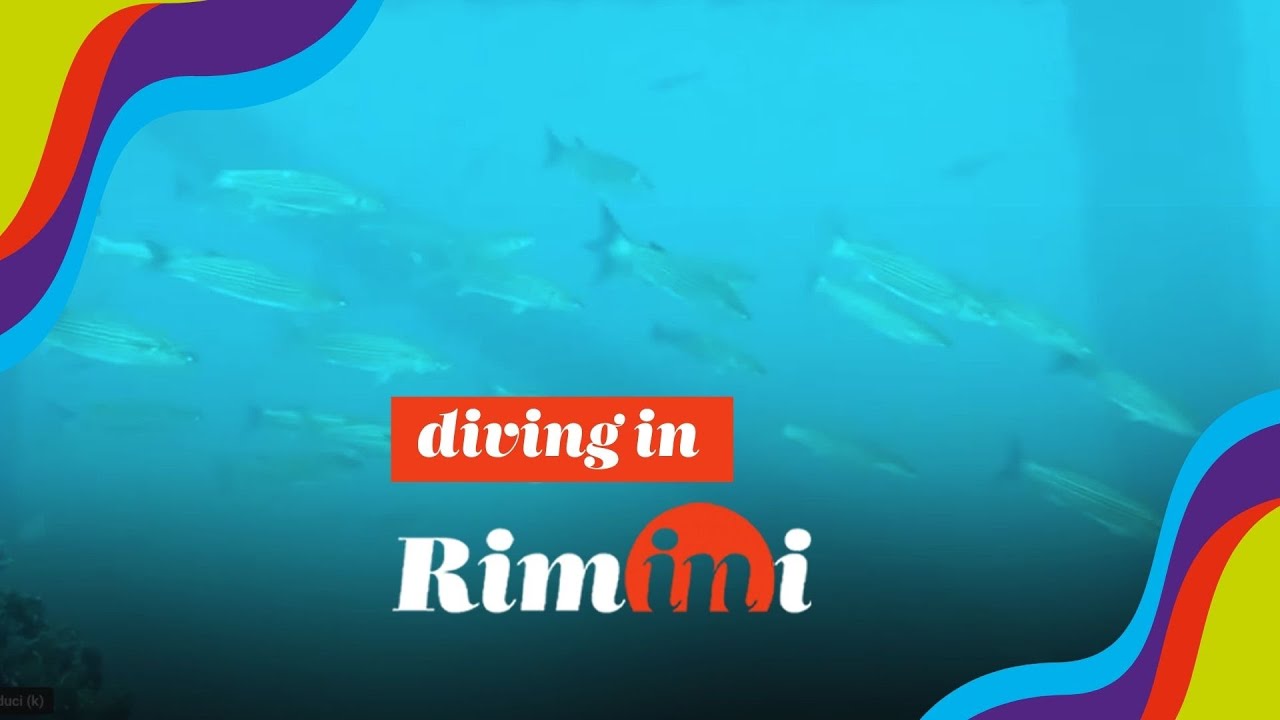 Diving e Immersioni a #Rimini
