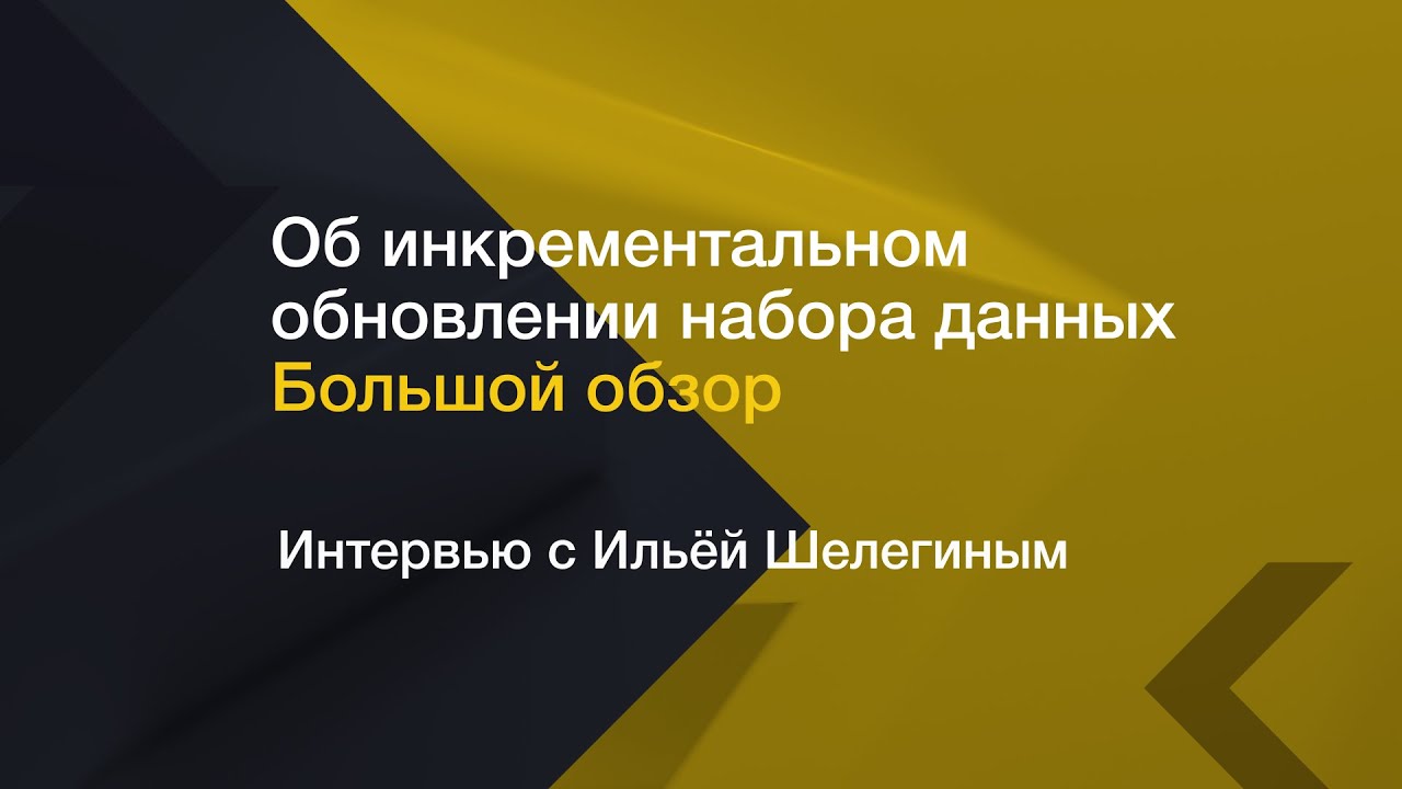 Инкрементальное обновление набора данных // Интервью с Ильей Шелегиным