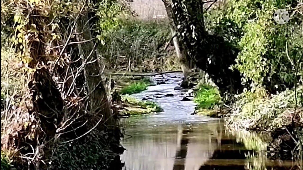 El Repilado - Cortegana por el río Caliente y el arroyo Carabañas, 19.12.21
