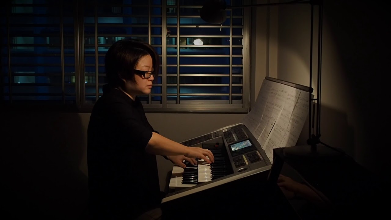 The Music of the Night on Yamaha Electone Stagea ELS-02C