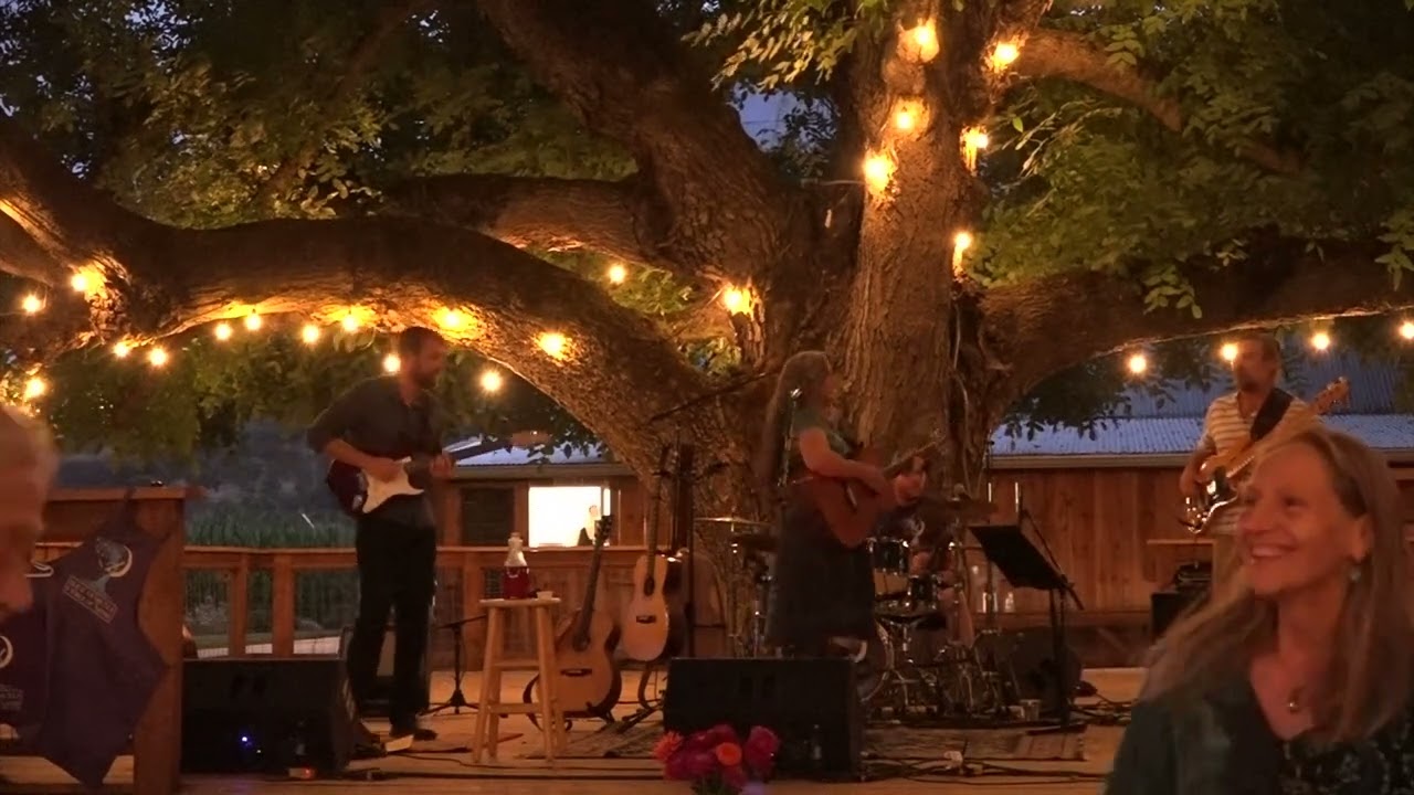 Swim - Alice Di Micele & Force of Nature Live 9/14/24