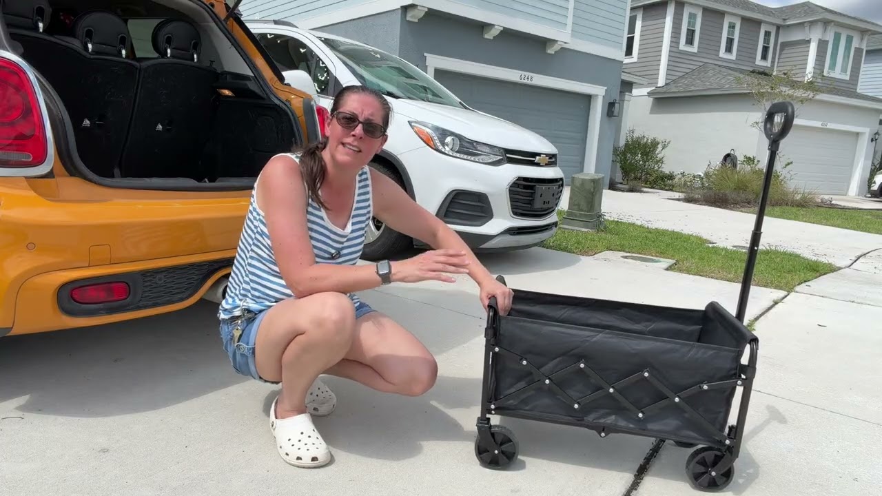 ARTIST'S DREAM - What ACTUALLY matters about this Collapsible Wagon