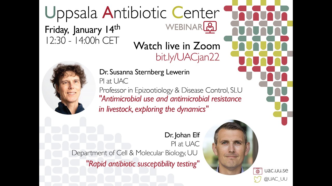 Rapid antibiotic susceptibility testing  - Dr. Johan Elf