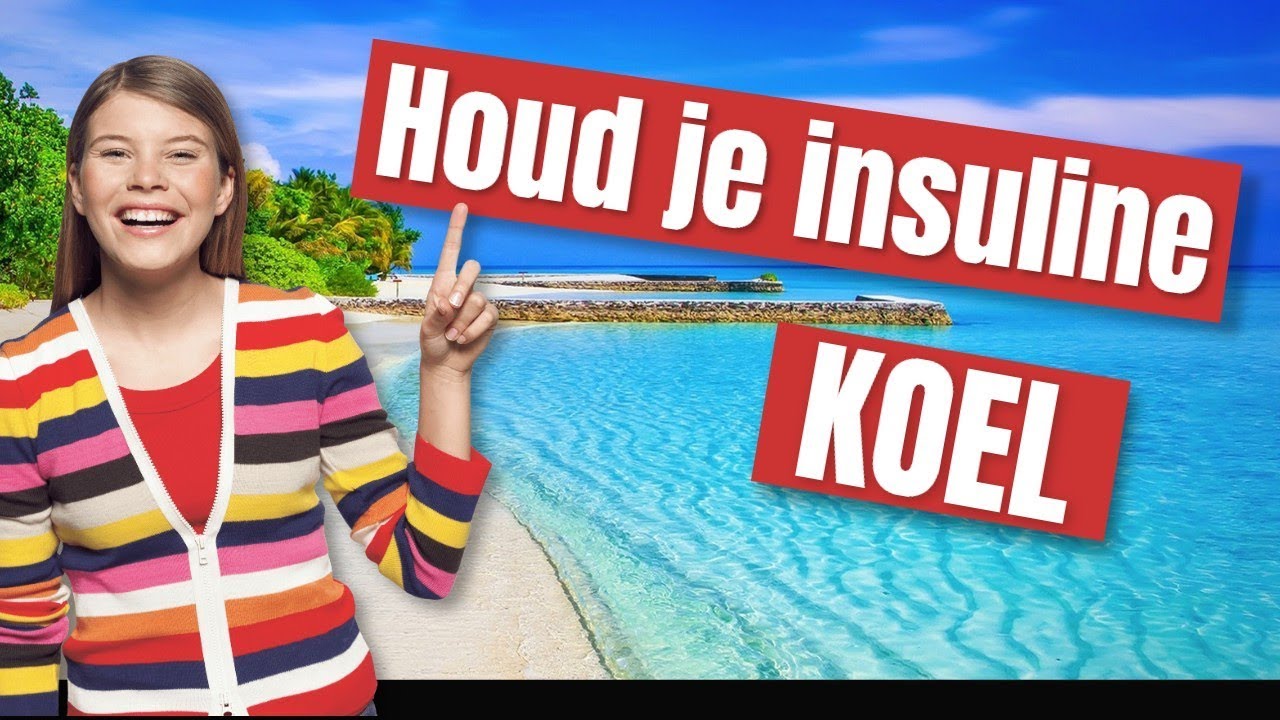 Koeltas Opbergtas voor Insuline Spuiten / Prikpennen voor Diabetes - op reis en vakantie - Koeletui