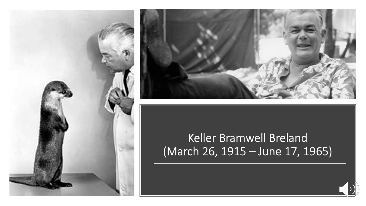 Keller Bramwell Breland   Meacham