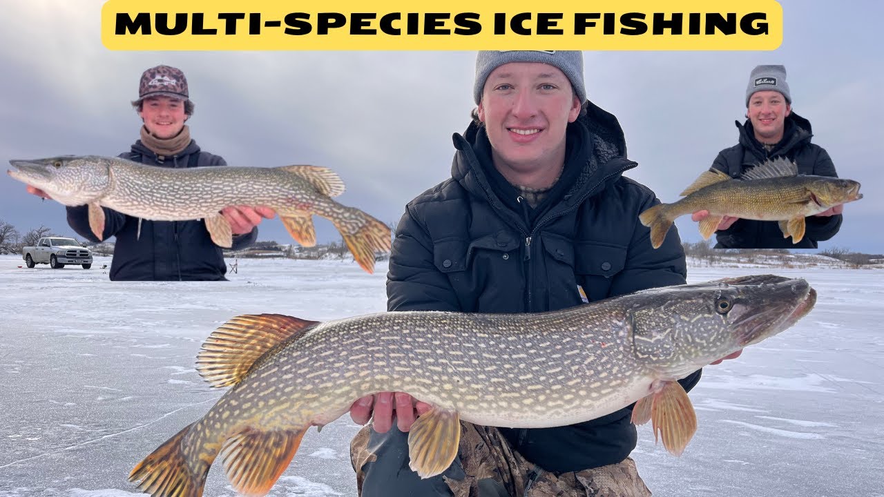 Catching EVERYTHING THAT SWIMS! (2 Days Ice Fishing With My Brother)
