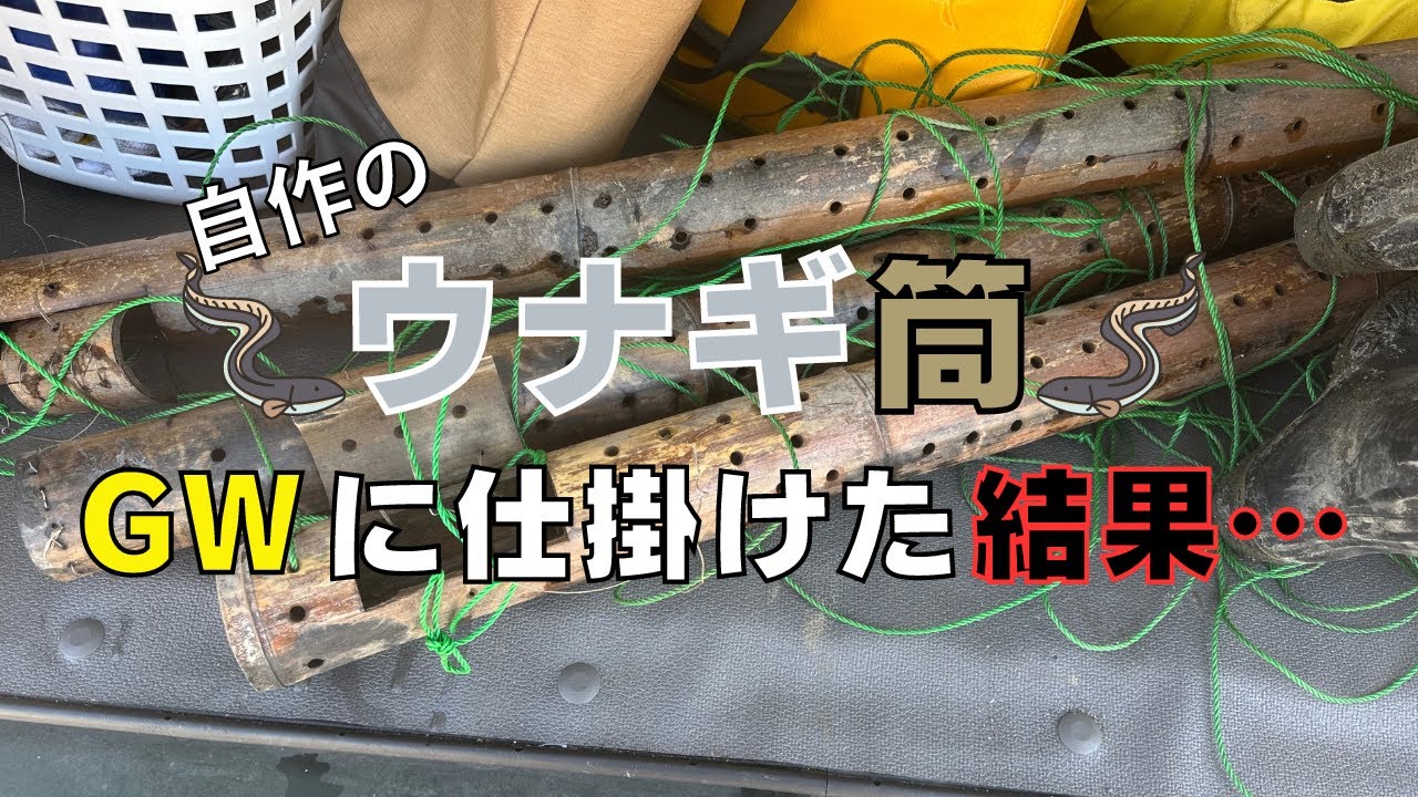 自作のウナギ筒 GWに仕掛けた結果…The results of setting up my homemade eel traps during Golden Week...