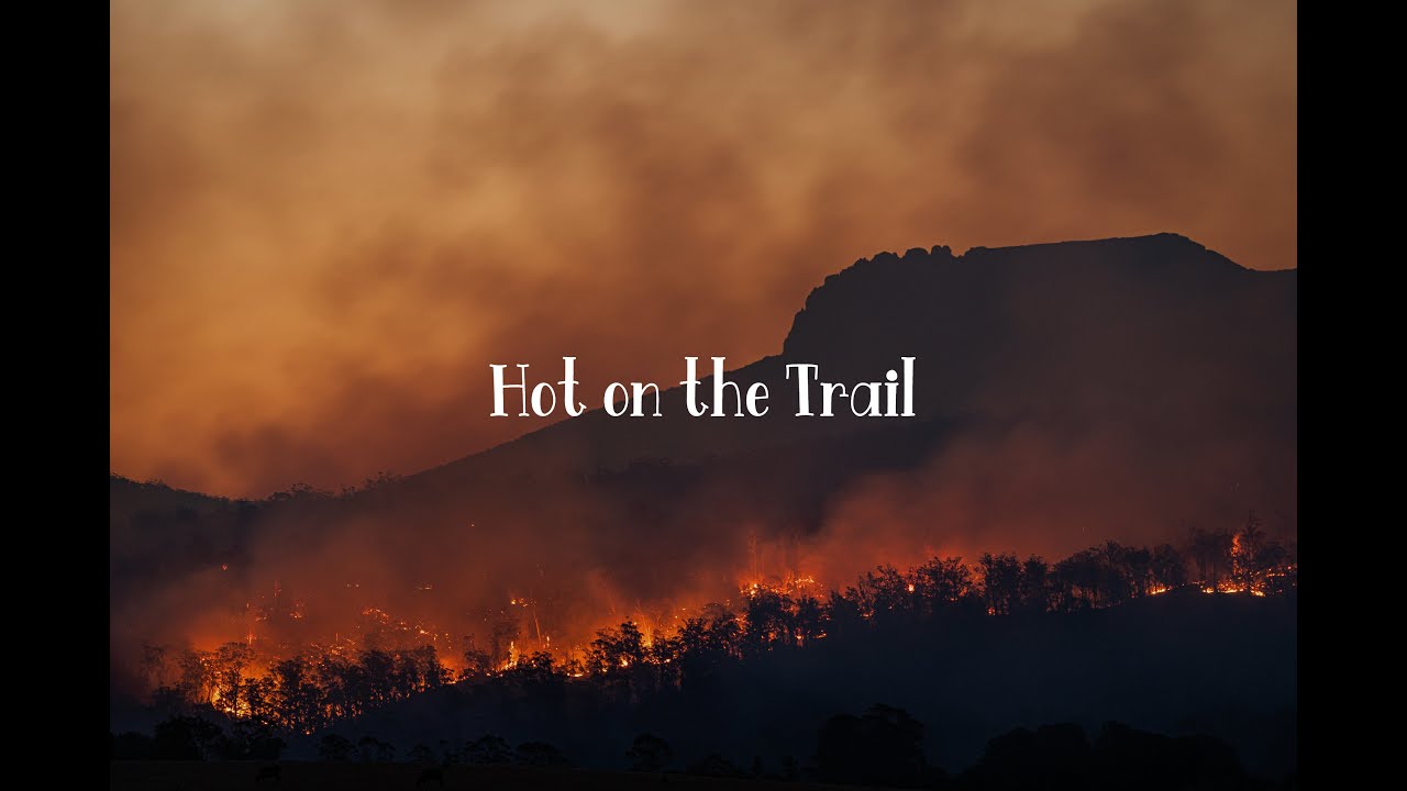 Hot on the Trail - Steam Powered Giraffe (lyrics)