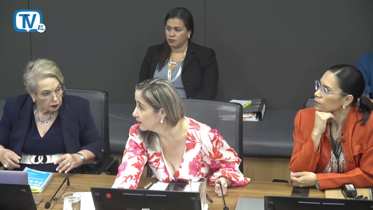 Comisión Permanente Especial de Seguridad y Narcotráfico, 19 febrero 2026