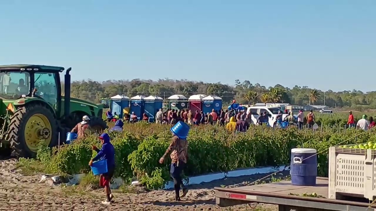 Un día más de trabajo, Florida 