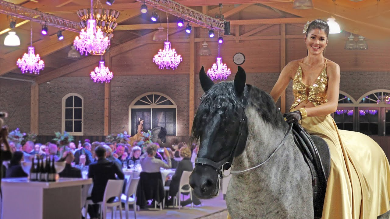 DINNERSHOW MET PAARDEN 🍾 CARLETTO DANST OM DINNERTAFELS 🌟