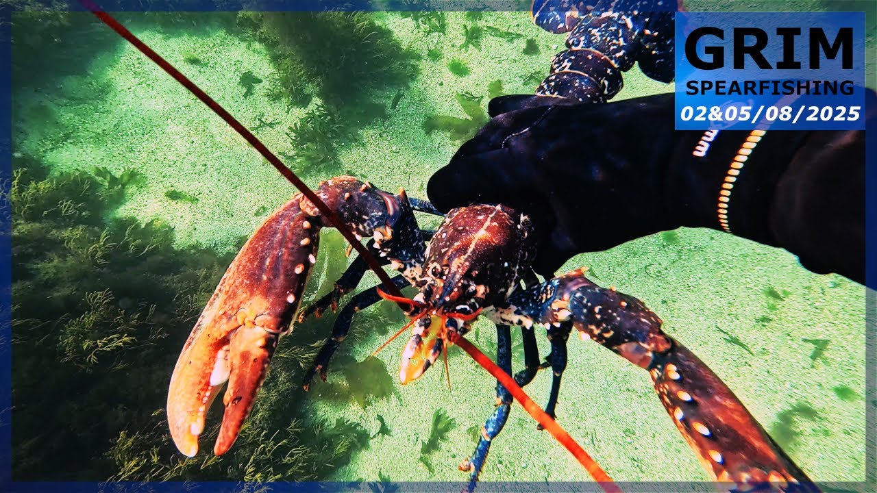 Chasse sous-marine (Côtes d'Armor 22) - Eau claire et homards d'été !
