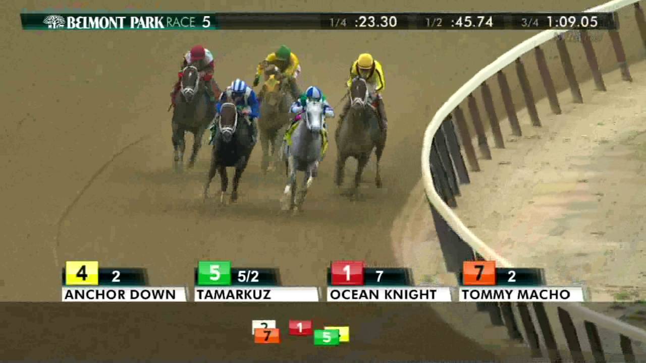 Anchor Down - 2016 Kelso Stakes