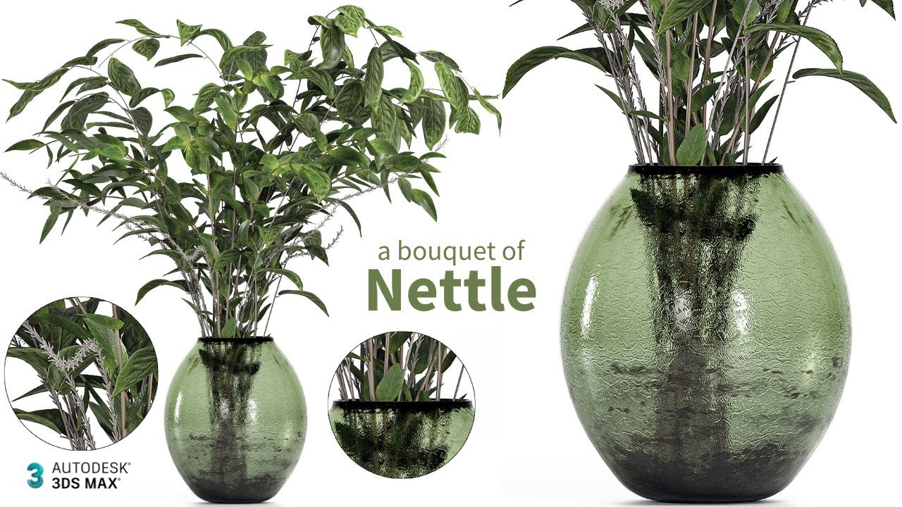 N-5 - A bouquet of Nettle and Magnolia - Plants Modeling - Autodesk 3ds Max & GrowFX