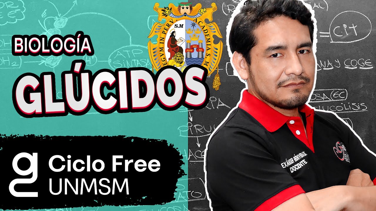 BIOLOGÍA - Glúcidos [CICLO FREE]