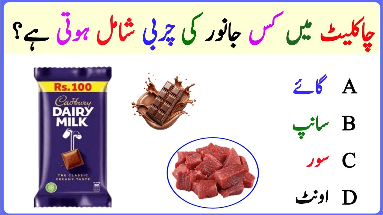 New General Knowledge video in Urdu || Gk in Urdu || World gk Urdu || Urdu General Knowledge