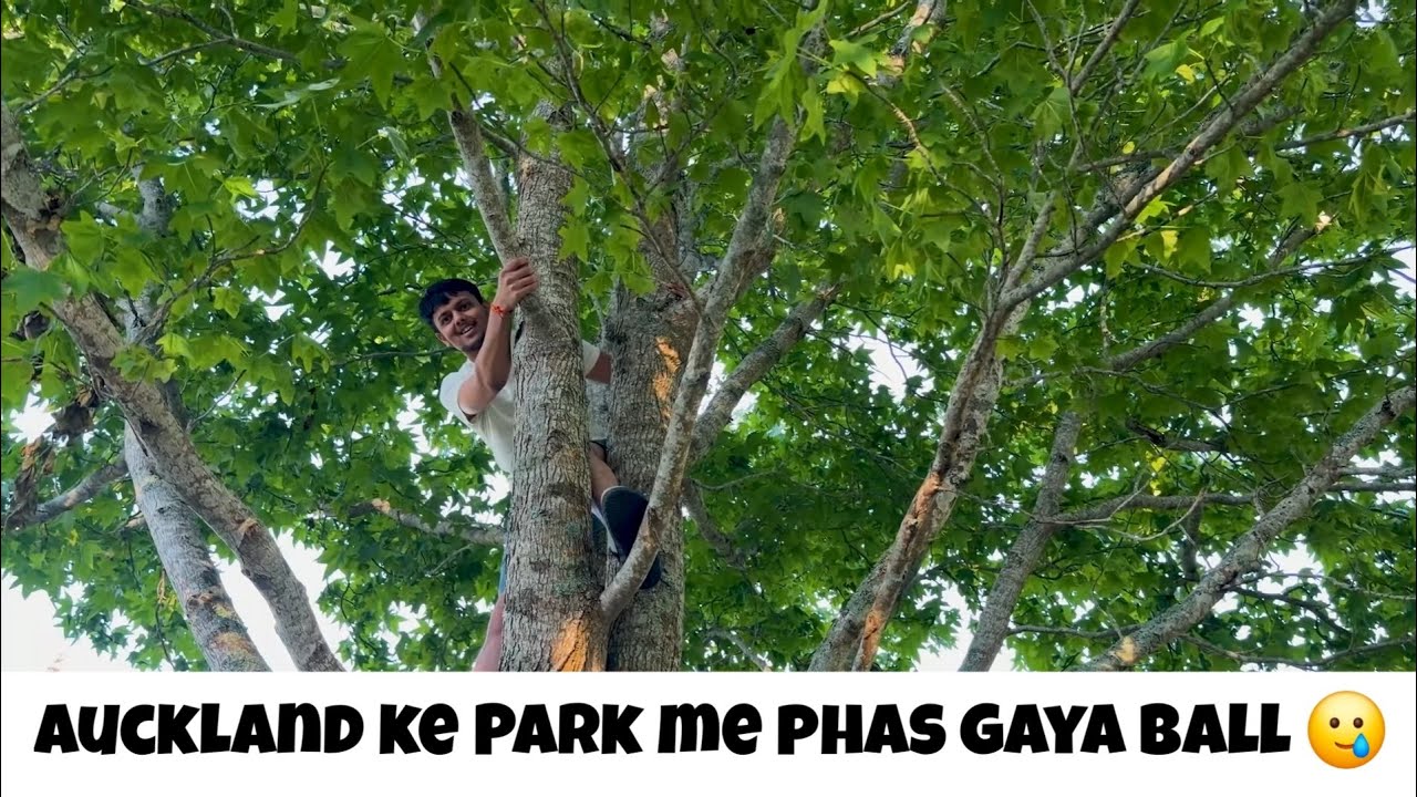 Auckland Ke Park Mein Ped Par Phas Gaya Ball 😅 | Everyday Vlog Day 01 | Life of a Software Intern NZ
