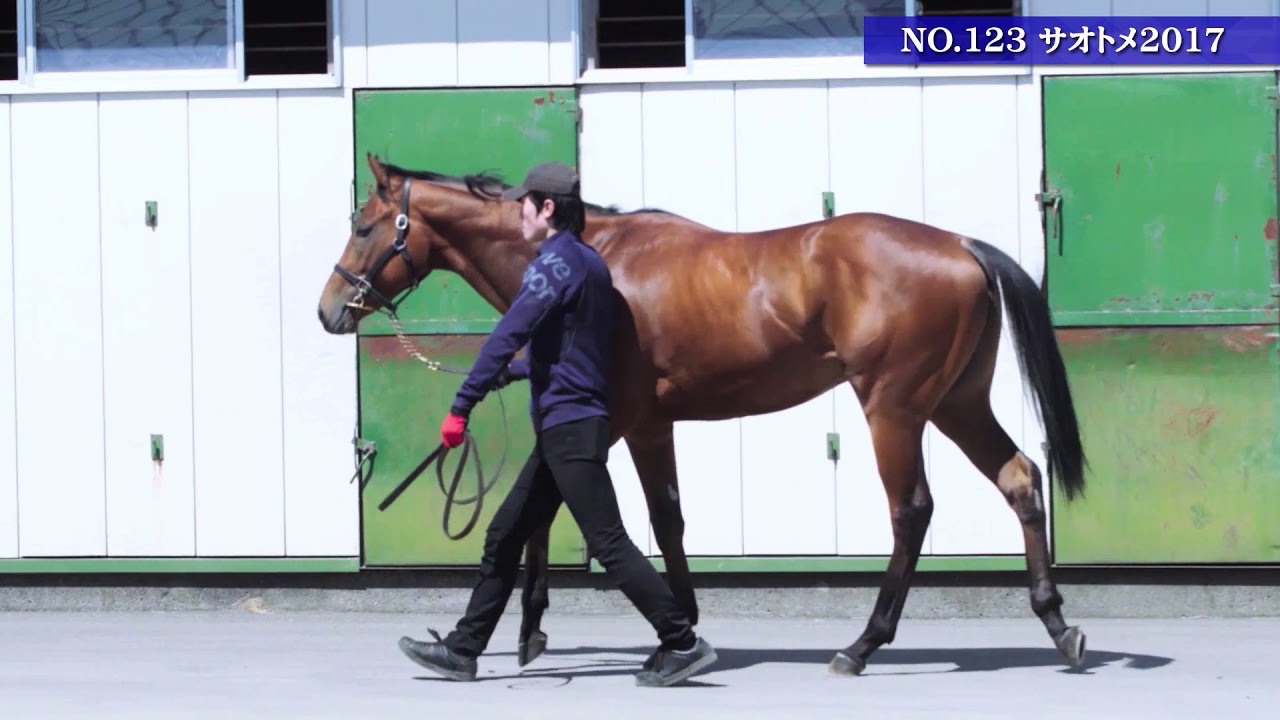 HBAトレーニングセール　エクワインレーシング上場馬紹介PV