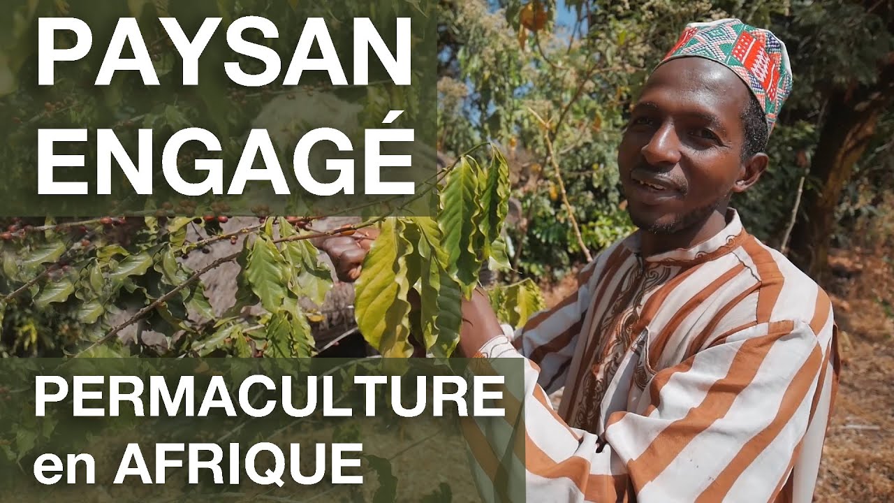#30 Ce PAYSAN recycle le PLASTIQUE pour planter du CAFÉ 📍 Guinée