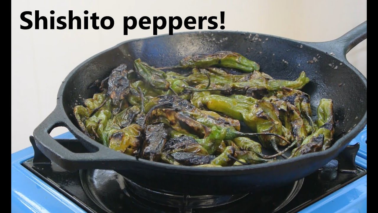 Рецепт перца шишито: волдыри, обугленные, очень вкусные