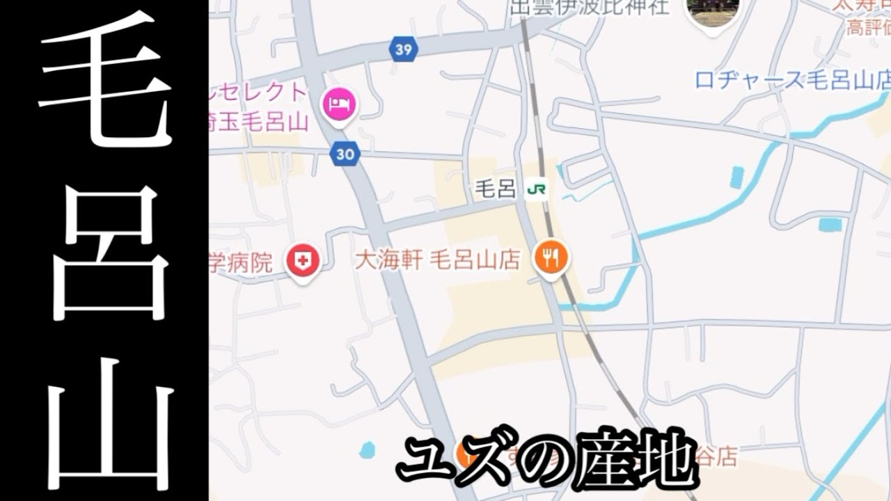 毛呂山を散策！ここはユズの産地/八高線と東武越生線がある【埼玉県毛呂山】