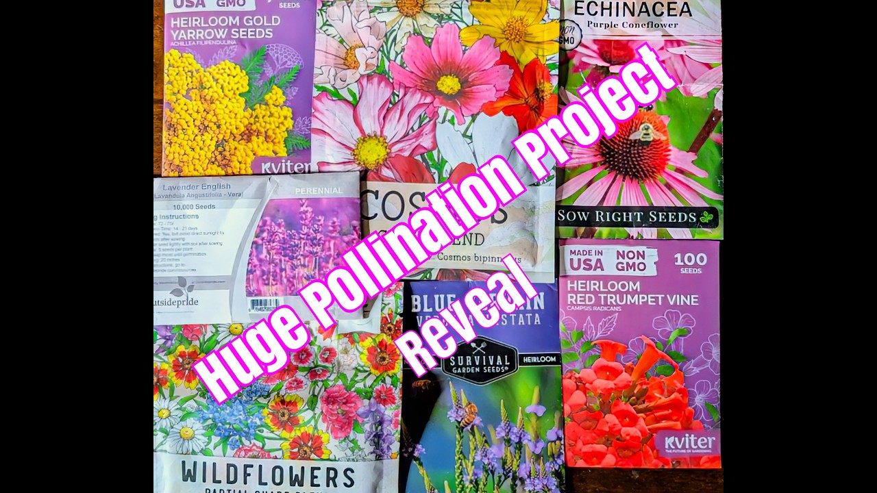 Countdown to Spring. Attract lots of pollinators to your spring gardens. Gardening on a Budget.