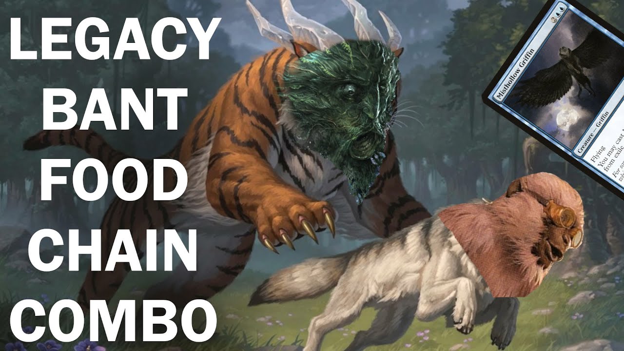 CLIMBING THE FOOD CHAIN! Legacy Bant Control with another combo win! Infinite mana and damage! MTG