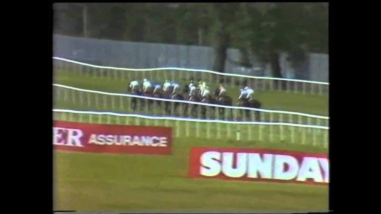 1986 Phoenix Irish Champion Stakes Park Express Full Race