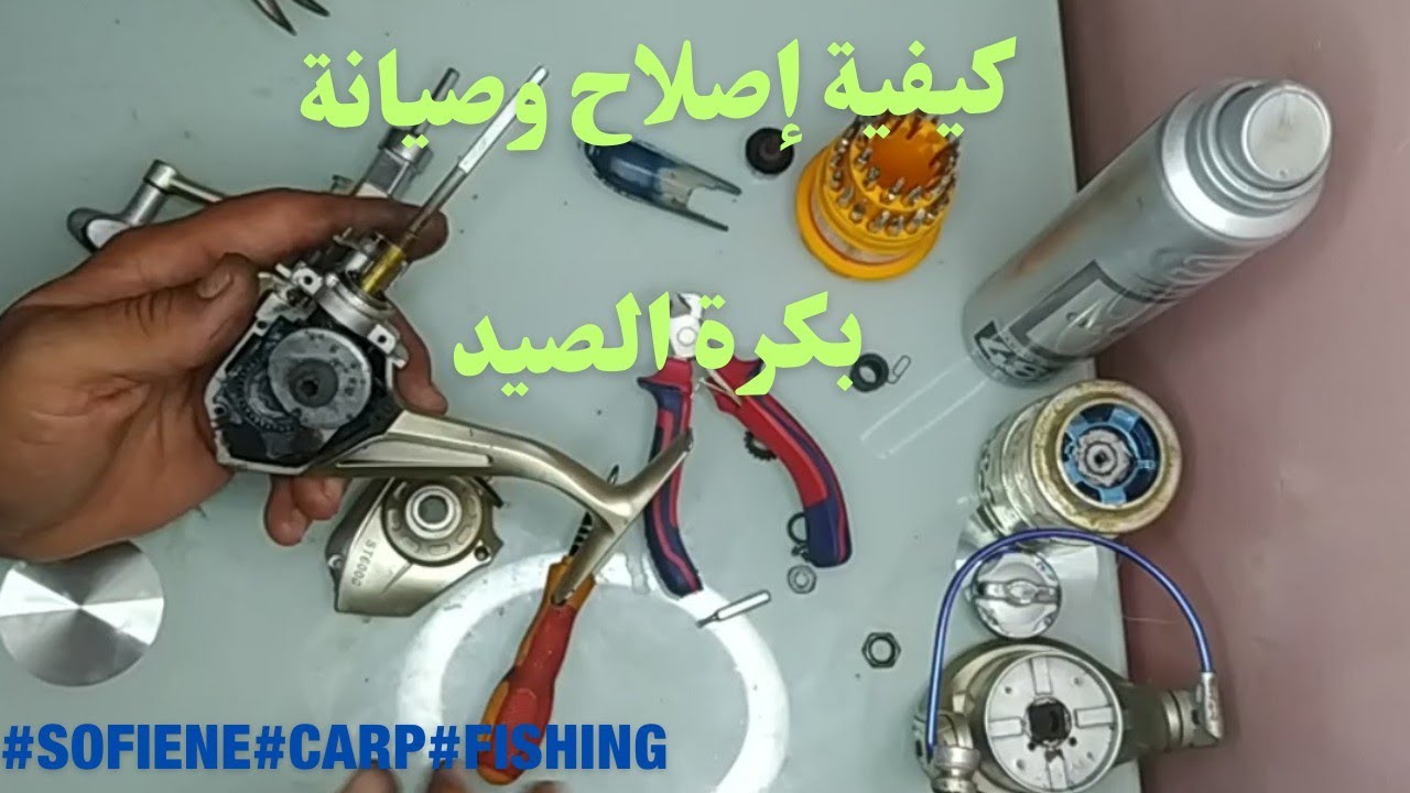 كيفية إصلاح وصيانة ماكينة السنارة (الموليني) #sofiene #carp #fishing