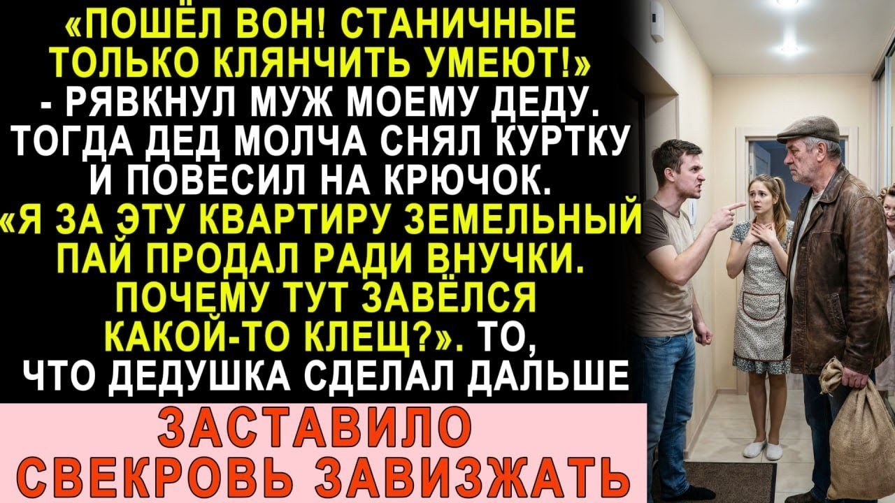 «Я эту квартиру внучке брал! Почему тут завёлся какой-то клещ?» — спросил мой дед у мужа