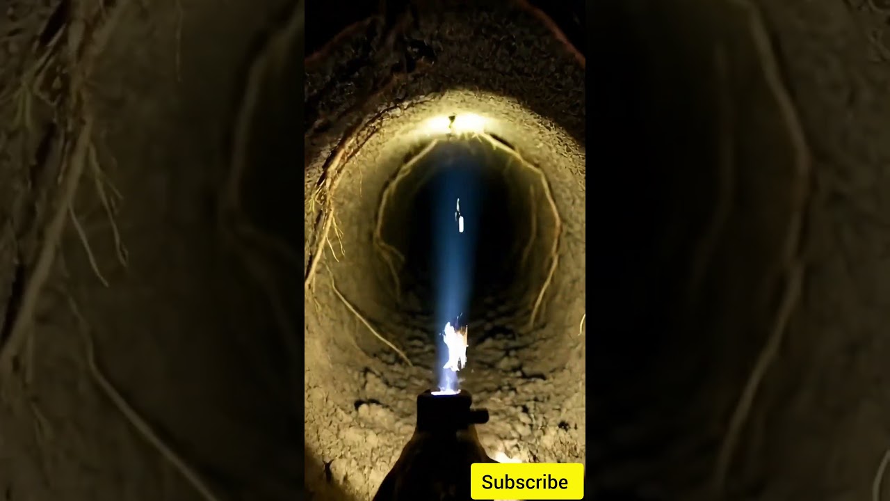 &ldquo;Frog Camera Inside A Secret Hole 😱🐸#frogcamera#microcamera#undergroundworld#frog