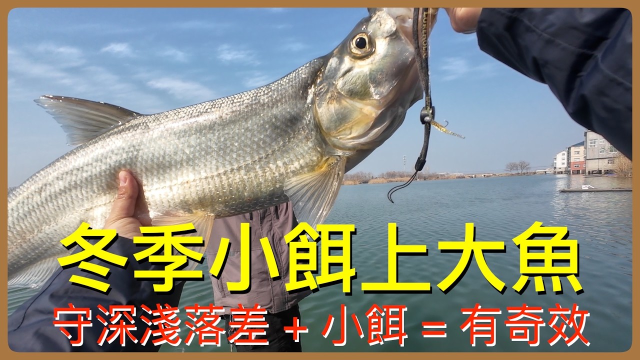 冬季路亞不打龜！找魚邏輯、用餌思路、裝備搭配一次學會#冬季路亞 #路亞新手 #路亞原理
