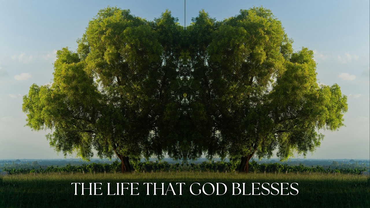 The Life That God Blesses | Psalm 1