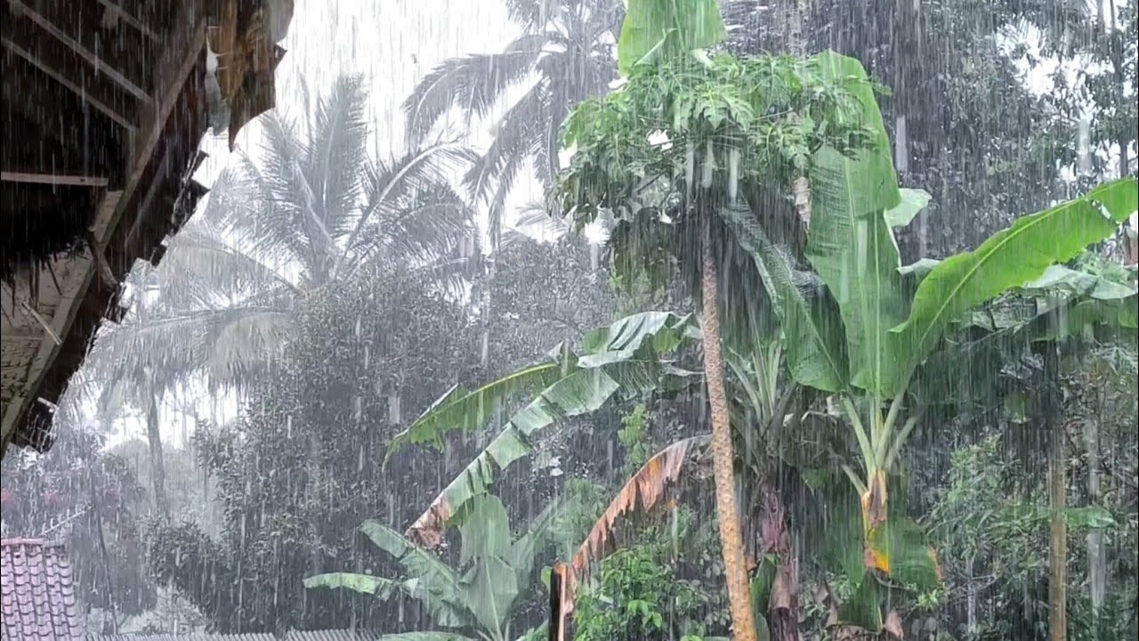 Heavy Tropical Rain at Village House 🌧️ Deep Sleep Ambience