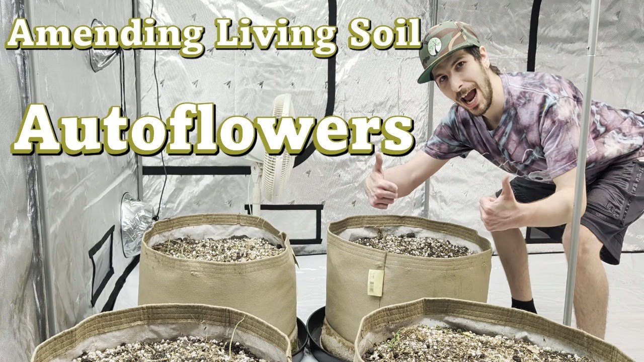 Amending 30 Gallon Pots for Autoflowers | BuildASoil
