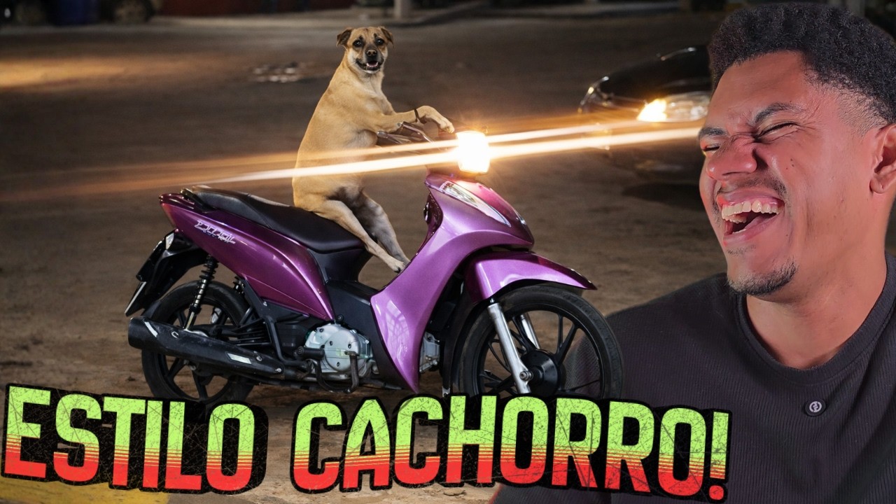QUANDO O CARAMELO DECIDE ANDAR DE MOTOCA - TENTE NÃO RIR COM OS VÍDEOS ENGRAÇADOS 🤣