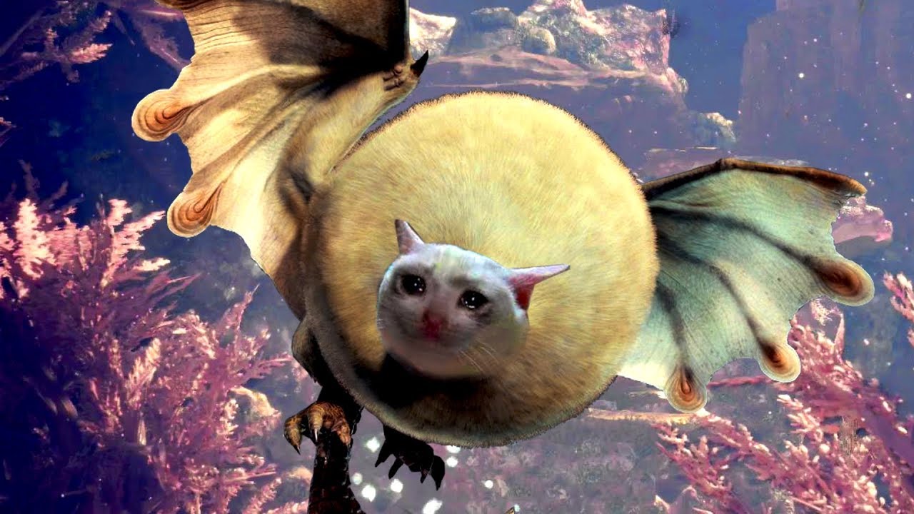 MONSTER HUNTER BUGS ULTIMATE | MHW FUNNY MOMENTS (WINS & FAILS) #50 | NOSKILLZ