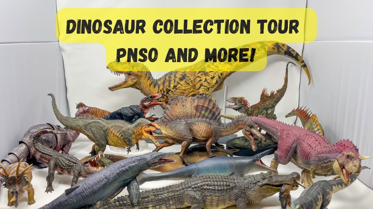 Dinosaur Collection Tour PNSO and More!