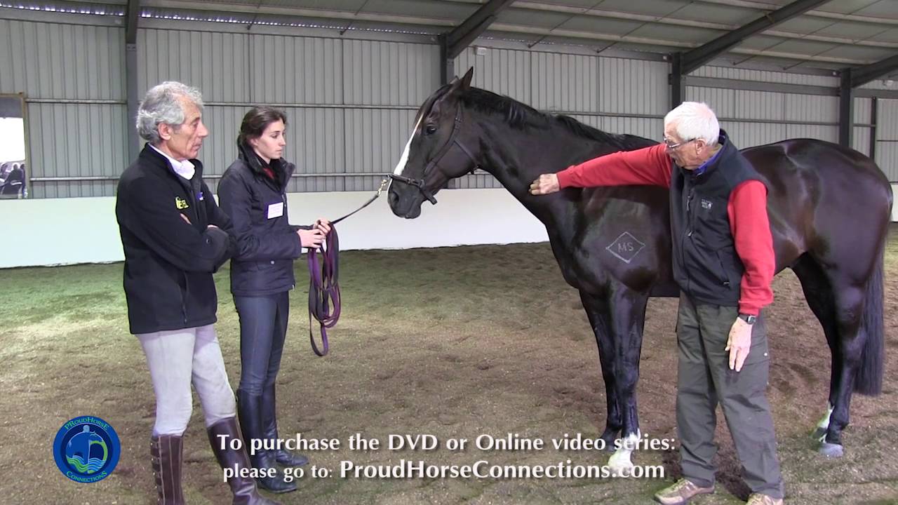 Case Study #4: Jazz - Equine Wellness 2013 with Dr. Ridgway and Manolo Mendez