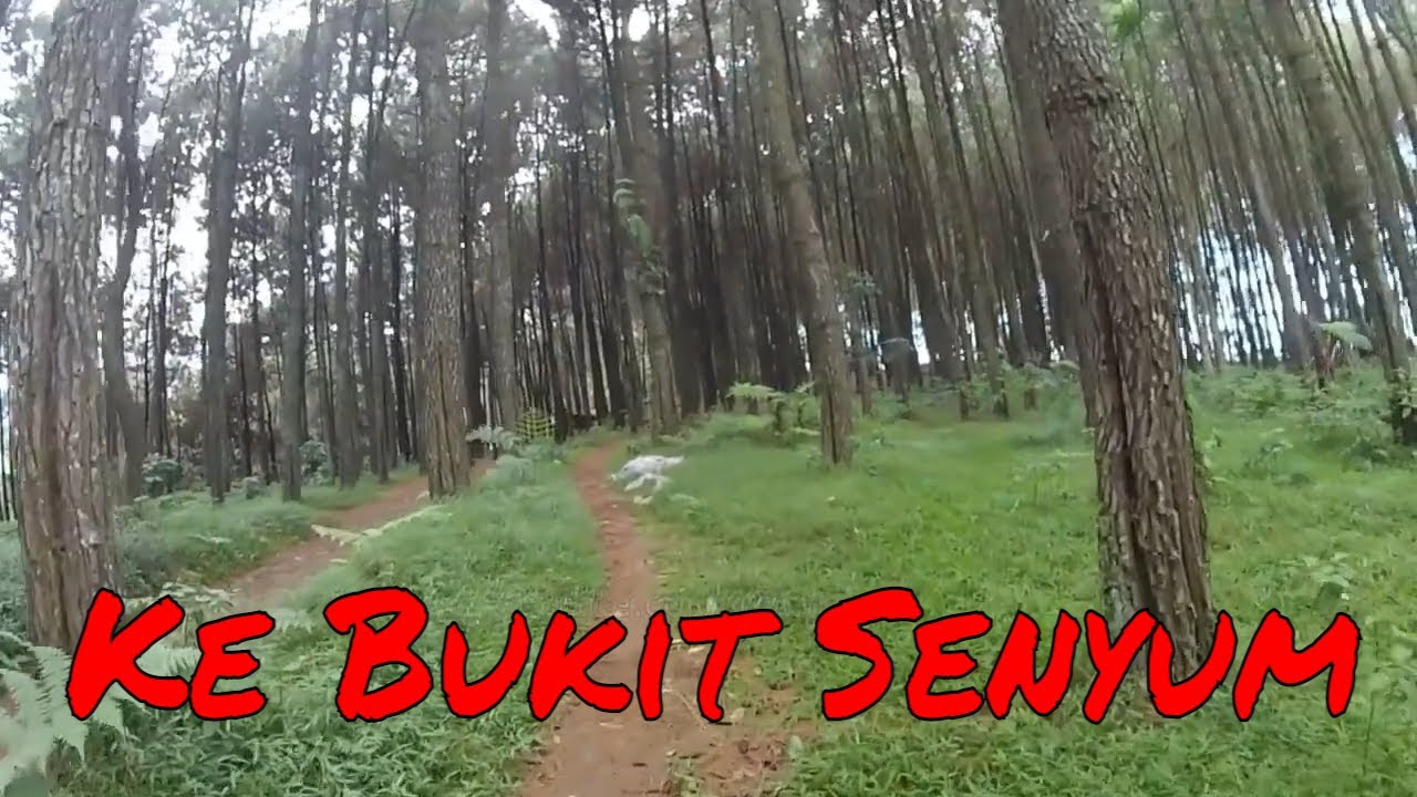 Rute ke Bukit Senyum Cipada, Kab Bandung Barat Dari Situ Lembang Dano, Wisata Viral