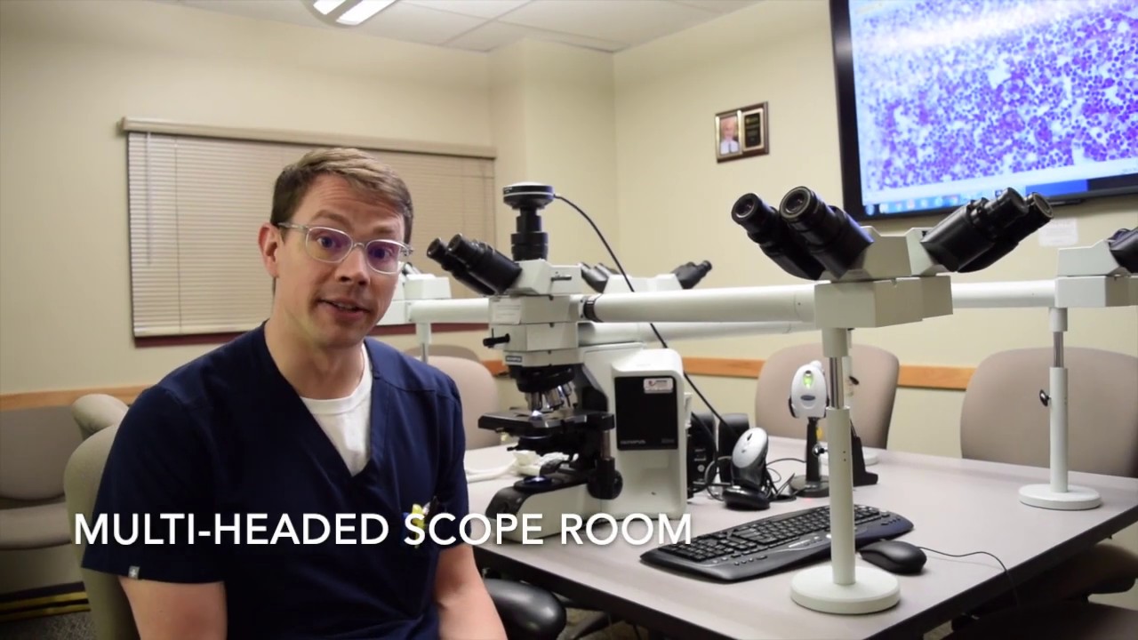Residency Candidate Tour: Pathology & Lab Medicine at URMC