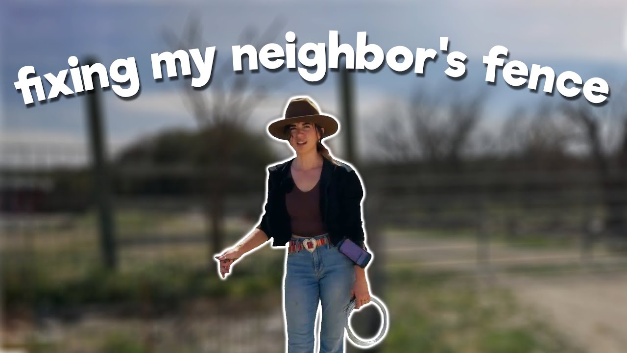 Fixing My Neighbor's Fence (and Playing With Puppies) - 3/17/25