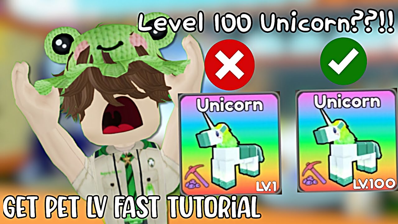 GET LV FAST WITH THIS TRICK!!!!! Pet Capture Adventure Tips And Tricks for February 2026