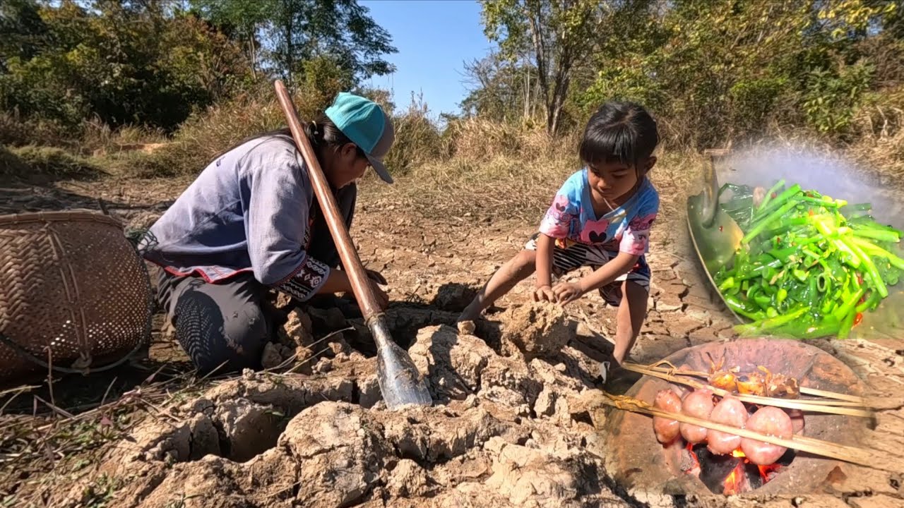 ขุดเขียดนา//ຂຸດຂຽດນາ
