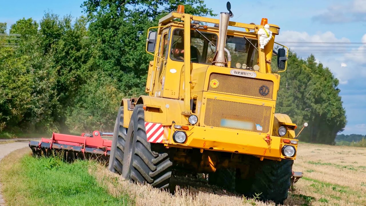 Kirovets K700-A mit 6m Kurzscheibenegge bei der Stoppelbearbeitung | V8 Turbo Sound