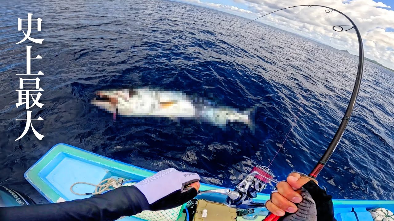 五目釣りのはずが巨大魚釣れてしまったので漁協に売ったら驚きの金額に！