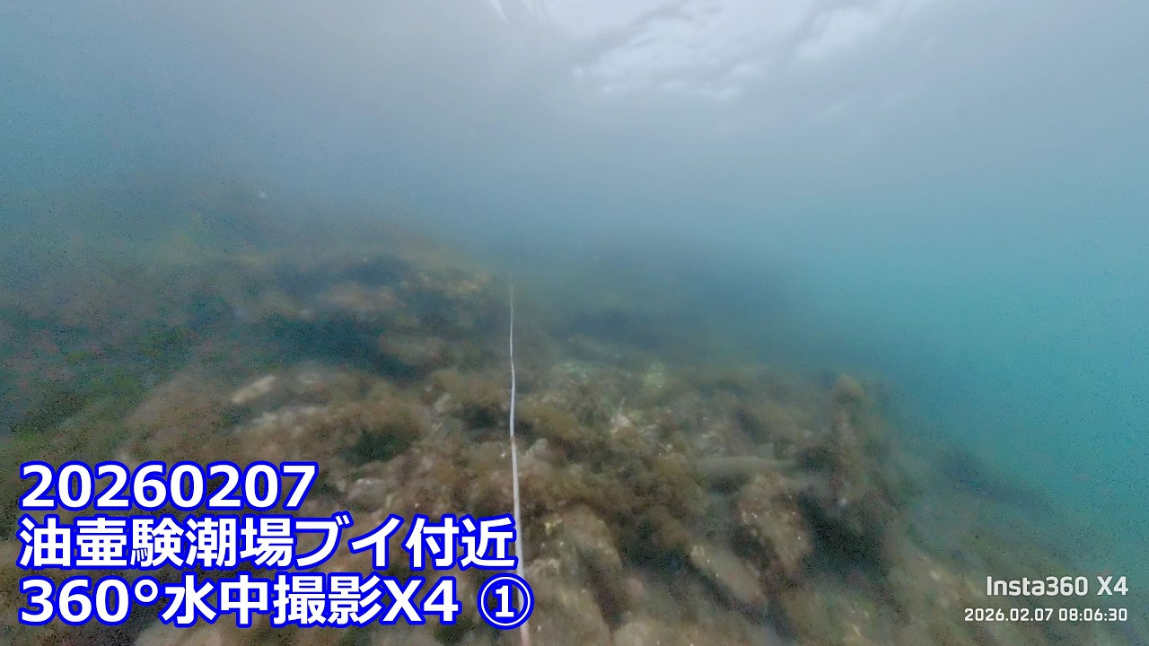 20260207X4①油壷験潮場ブイ付近360°水中撮影(07:00:52～08:06:47)チャプター付き
